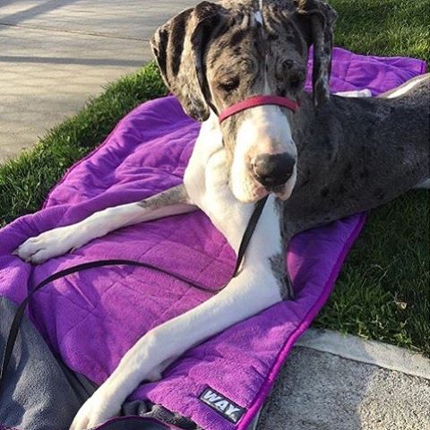 SO MANY DIFFERENT WAYS TO USE WAYMAT!