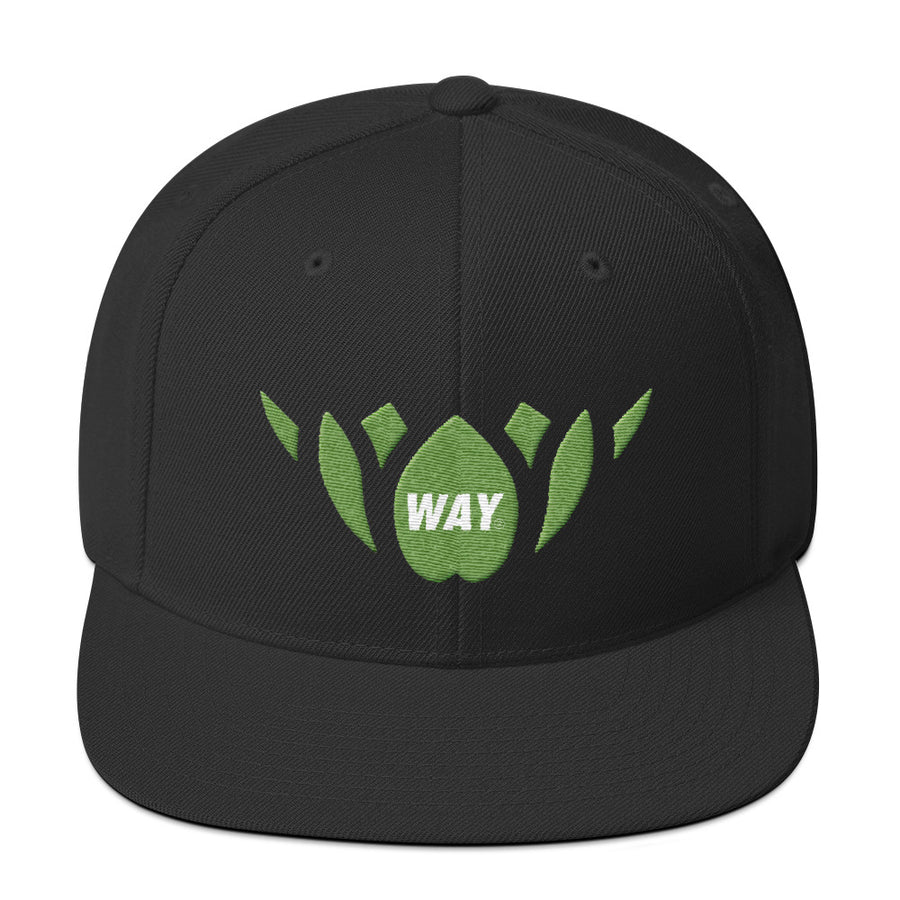 Black & Green-Snapback Hat